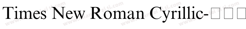 Times New Roman Cyrillic字体转换